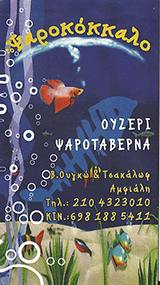 ΨΑΡΟΤΑΒΕΡΝΑ ΑΜΦΙΑΛΗ - ΟΥΖΕΡΙ ΑΜΦΙΑΛΗ - ΤΟ ΨΑΡΟΚΟΚΚΑΛΟ