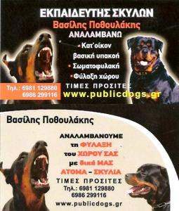 ΕΚΠΑΙΔΕΥΤΗΣ ΣΚΥΛΩΝ ΚΑΤΩ ΠΑΤΗΣΙΑ  - ΒΑΣΙΛΗΣ ΠΟΘΟΥΛΑΚΗΣ
