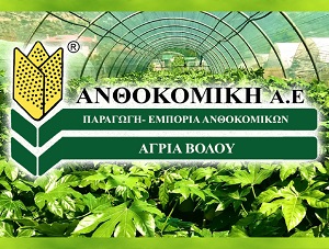 ΑΝΘΟΚΟΜΙΚΗ ΑΕ - ΦΥΤΩΡΙΟ ΑΓΡΙΑ ΒΟΛΟΥ - ΑΝΘΟΚΟΜΙΚΑ ΑΓΡΙΑ ΒΟΛΟΥ - ΔΕΝΔΡΟΚΟΜΙΚΑ ΑΓΡΙΑ ΒΟΛΟΥ